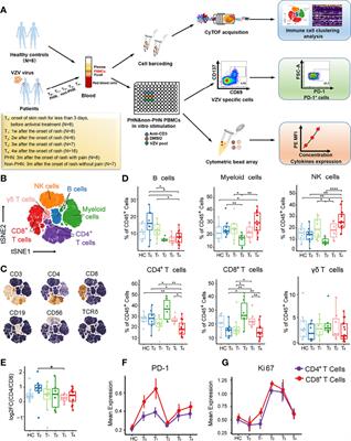 Dynamic Immune Landscape and VZV-Specific T Cell Responses in Patients With Herpes Zoster and Postherpetic Neuralgia